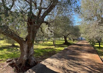 Foto 8 - Baita C.da Fedele Piccolo
 
snc, Ceglie Messapica - foto 8