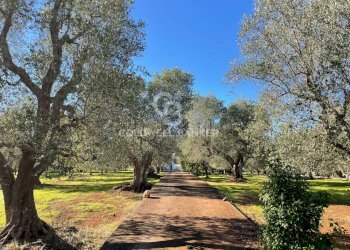 Foto 10 - Baita C.da Fedele Piccolo
 
snc, Ceglie Messapica - foto 10