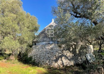 Foto 16 - Baita C.da Fedele Piccolo
 
snc, Ceglie Messapica - foto 16