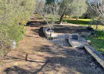 Foto 18 - Baita C.da Fedele Piccolo
 
snc, Ceglie Messapica - foto 18