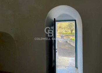 Foto 19 - Baita C.da Fedele Piccolo
 
snc, Ceglie Messapica - foto 19