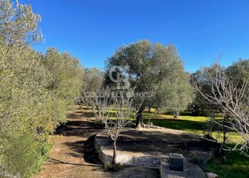 Foto 21 - Baita C.da Fedele Piccolo
 
snc, Ceglie Messapica - foto 21