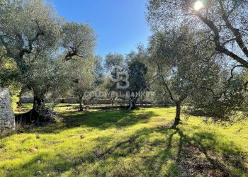 Foto 22 - Baita C.da Fedele Piccolo
 
snc, Ceglie Messapica - foto 22