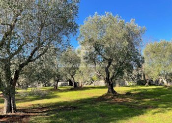 Foto 24 - Baita C.da Fedele Piccolo
 
snc, Ceglie Messapica - foto 24