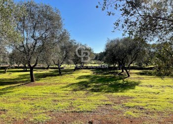 Foto 25 - Baita C.da Fedele Piccolo
 
snc, Ceglie Messapica - foto 25