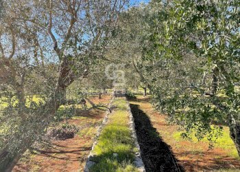 Foto 27 - Baita C.da Fedele Piccolo
 
snc, Ceglie Messapica - foto 27