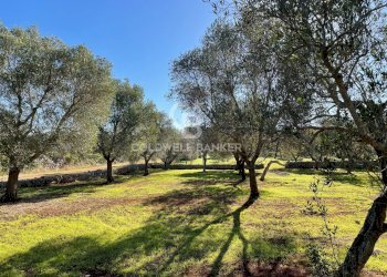 Foto 29 - Baita C.da Fedele Piccolo
 
snc, Ceglie Messapica - foto 29