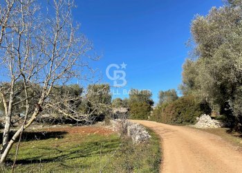 Foto 30 - Baita C.da Fedele Piccolo
 
snc, Ceglie Messapica - foto 30