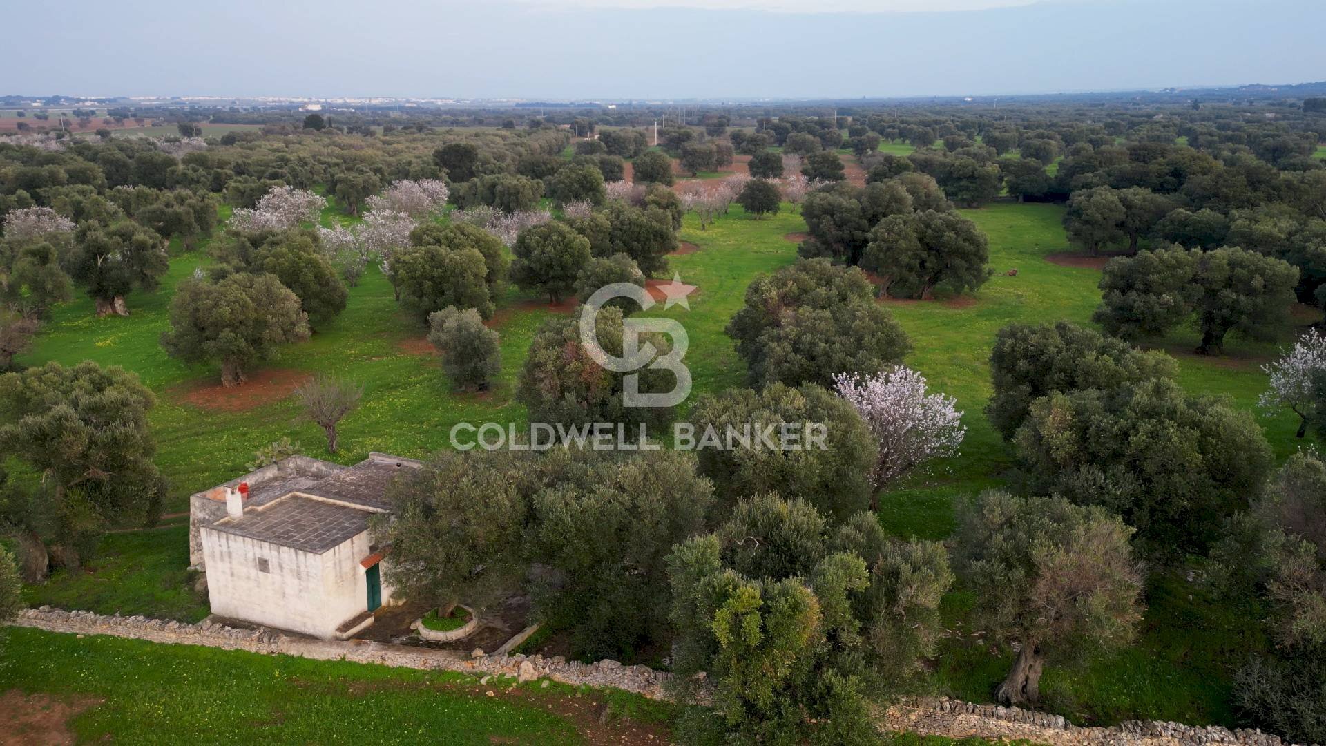 Foto 2 - Agricultural land Contrada Boezio - Calcagni
 
sn, Ostuni - photo 2