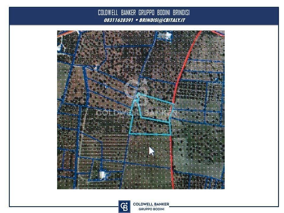 Foto 11 - Agricultural land Contrada Boezio - Calcagni
 
sn, Ostuni - floor plans 1