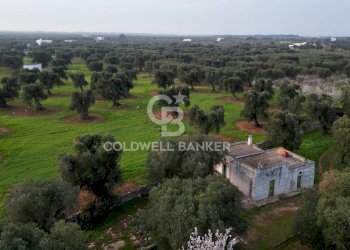Foto 1 - Agricultural land Contrada Boezio - Calcagni
 
sn, Ostuni - photo 1