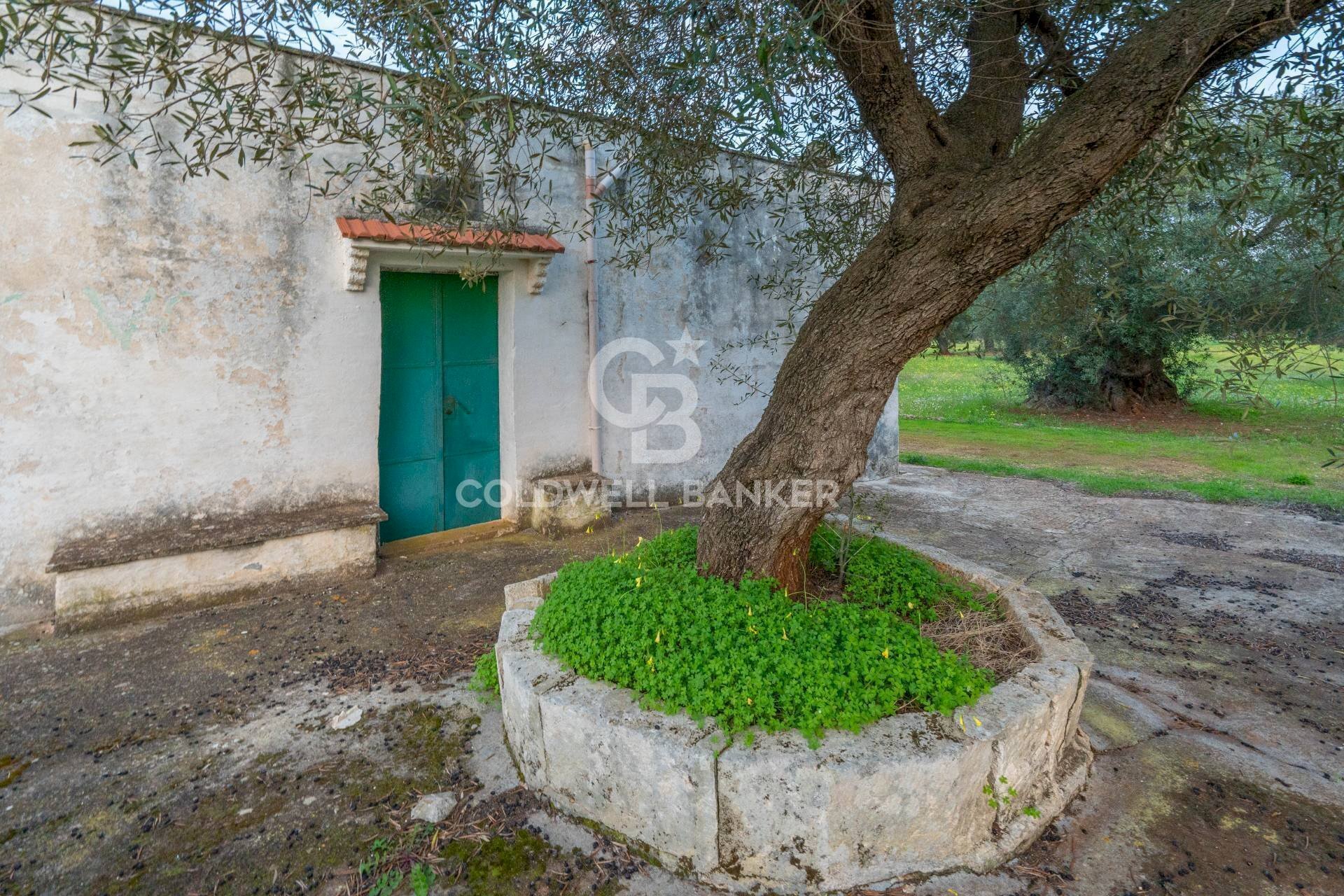 Foto 3 - Rustic Contrada Boezio - Calcagni
 
sn, Ostuni - photo 3