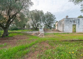 Foto 1 - Rustico Contrada Boezio - Calcagni
 
sn, Ostuni - foto 1