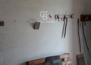 Foto 8 - Rustico Contrada Boezio - Calcagni
 
sn, Ostuni - foto 8