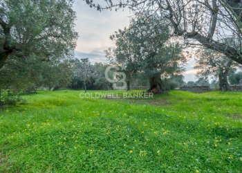 Foto 11 - Rustico Contrada Boezio - Calcagni
 
sn, Ostuni - foto 11