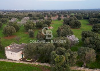 Foto 16 - Rustico Contrada Boezio - Calcagni
 
sn, Ostuni - foto 16