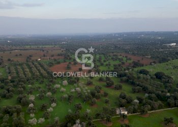 Foto 17 - Rustico Contrada Boezio - Calcagni
 
sn, Ostuni - foto 17