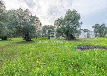 Foto 22 - Rustico Contrada Boezio - Calcagni
 
sn, Ostuni - foto 22