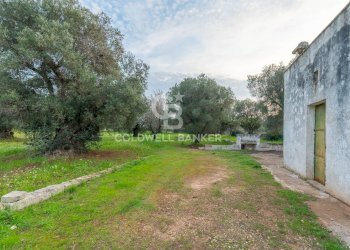 Foto 23 - Rustico Contrada Boezio - Calcagni
 
sn, Ostuni - foto 23