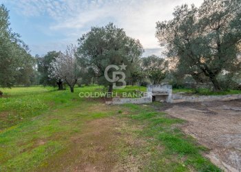 Foto 24 - Rustico Contrada Boezio - Calcagni
 
sn, Ostuni - foto 24