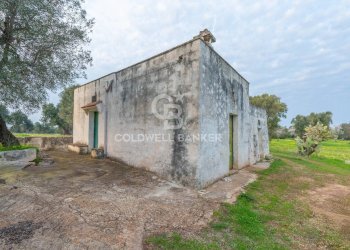 Foto 27 - Rustico Contrada Boezio - Calcagni
 
sn, Ostuni - foto 27