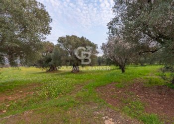 Foto 29 - Rustico Contrada Boezio - Calcagni
 
sn, Ostuni - foto 29