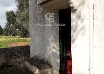 Foto 35 - Rustico Contrada Boezio - Calcagni
 
sn, Ostuni - foto 35