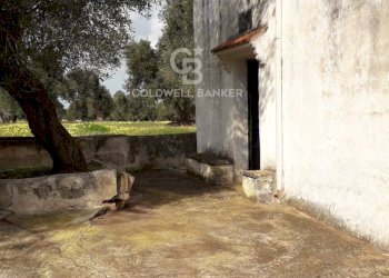 Foto 36 - Rustico Contrada Boezio - Calcagni
 
sn, Ostuni - foto 36