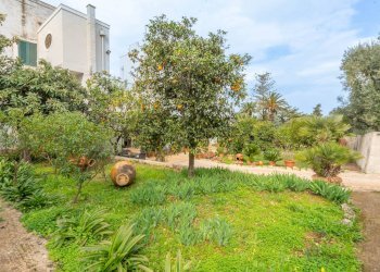 Foto 5 - Rustico Contrada Rialbo di Sotto
 
sn, Ostuni - foto 5