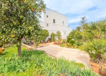 Foto 8 - Rustico Contrada Rialbo di Sotto
 
sn, Ostuni - foto 8