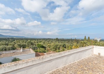 Foto 17 - Rustico Contrada Rialbo di Sotto
 
sn, Ostuni - foto 17