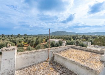 Foto 20 - Rustico Contrada Rialbo di Sotto
 
sn, Ostuni - foto 20