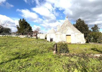 Foto 5 - Baita C.da Barbagiulo
 
SN, Cisternino - foto 5