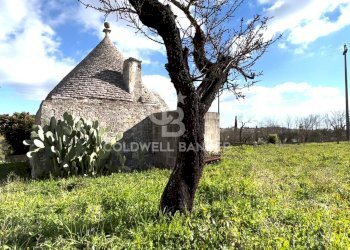 Foto 8 - Baita C.da Barbagiulo
 
SN, Cisternino - foto 8