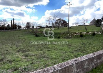 Foto 12 - Baita C.da Barbagiulo
 
SN, Cisternino - foto 12