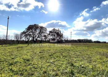 Foto 14 - Baita C.da Barbagiulo
 
SN, Cisternino - foto 14