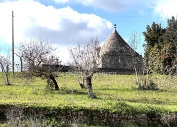 Foto 16 - Baita C.da Barbagiulo
 
SN, Cisternino - foto 16