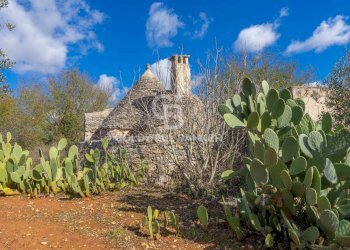 Foto 9 - Baita C.da Sisto
 
SN, Cisternino - foto 9