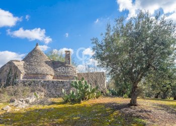 Foto 10 - Baita C.da Sisto
 
SN, Cisternino - foto 10