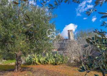 Foto 11 - Baita C.da Sisto
 
SN, Cisternino - foto 11