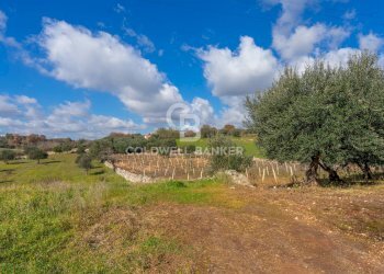 Foto 12 - Baita C.da Sisto
 
SN, Cisternino - foto 12