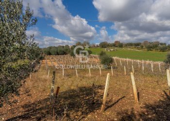 Foto 13 - Baita C.da Sisto
 
SN, Cisternino - foto 13