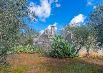 Foto 14 - Baita C.da Sisto
 
SN, Cisternino - foto 14