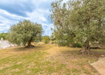 Foto 9 - Baita Contrada Lamacesare
 
sn, Cisternino - foto 9