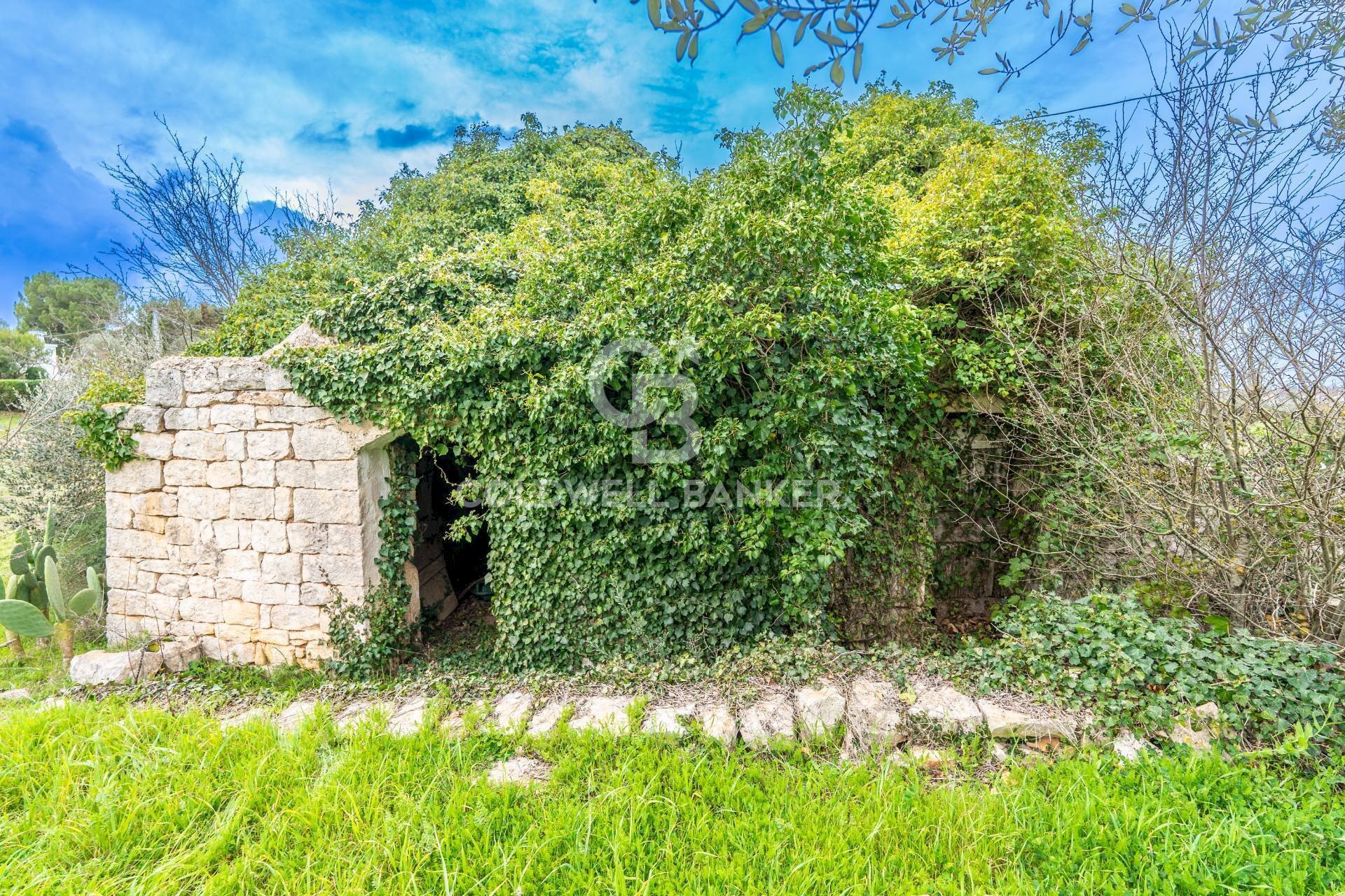 Foto 3 - Baita Contrada Santoro
 
sn, Ostuni - foto 3