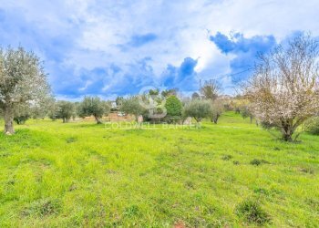 Foto 9 - Baita Contrada Santoro
 
sn, Ostuni - foto 9