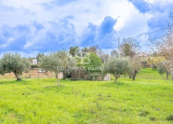 Foto 10 - Baita Contrada Santoro
 
sn, Ostuni - foto 10