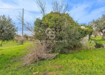 Foto 12 - Baita Contrada Santoro
 
sn, Ostuni - foto 12