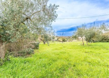 Foto 13 - Baita Contrada Santoro
 
sn, Ostuni - foto 13