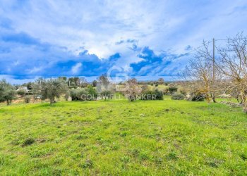 Foto 16 - Baita Contrada Santoro
 
sn, Ostuni - foto 16